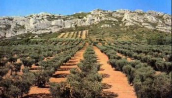 Alpilles en Provence - partenaires du Golf de Servanes