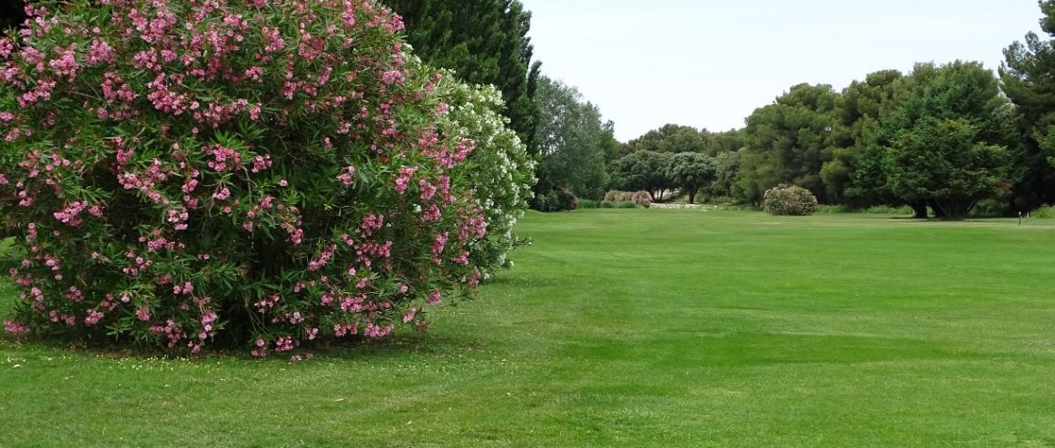 Compétition de golf au Golf de Servanes à Mouriès