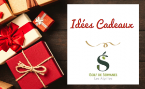 Un Noël magique avec les idées cadeaux Golf de Servanes - Open Golf Club