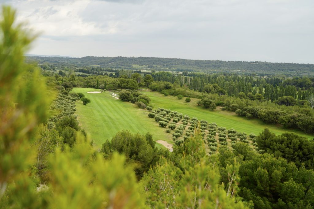 olive-field-golf-de-servanes