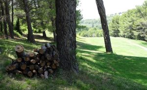 Préservation de la biodiversité - Open Golf Club