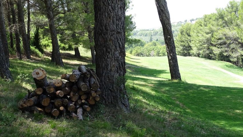 La Biodiversité au Golf de Servanes avec les troncs d'arbre offrant des abris à insectes