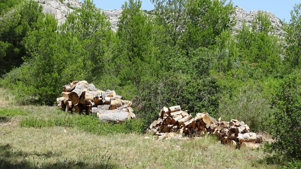 La Biodiversité au Golf de Servanes avec les troncs d'arbre offrant des abris à insectes