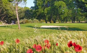 La biodiversité sur les parties sèches - Open Golf Club