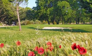 Biodiversity in dry areas - Open Golf Club