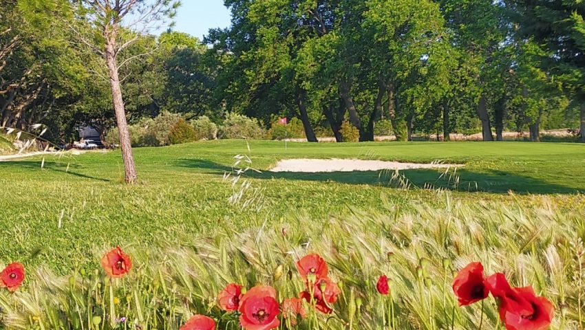 Golf de Servanes - Biodiversité