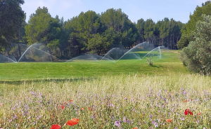 Workshop: Managing water resources - Open Golf Club