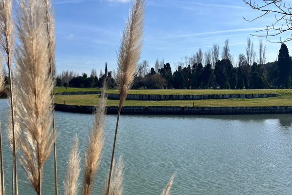 Trophée de la Galette des Rois au Golf de Servanes - 2024