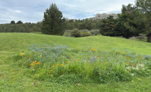 Le retour de la vie au Printemps au Golf de Servanes - Open Golf Club