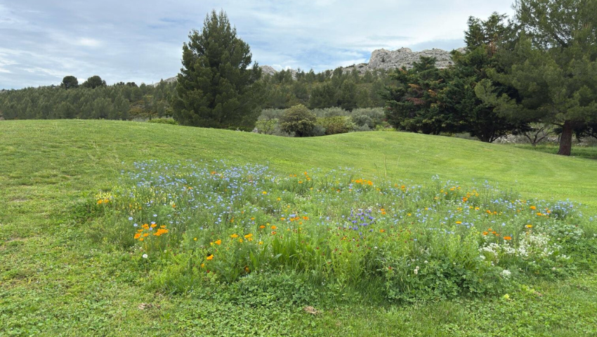 Le retour de la vie au Printemps au Golf de Servanes - Open Golf Club
