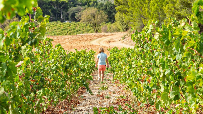 Produits d’exception du Mas de la Dame, entre tradition et élégance provençale : huile d’olive AOP Vallée des Baux-de-Provence, vins biologiques de caractère et soins naturels signés Clos des Oliviers. Un art de vivre authentique, enraciné dans le terroir des Alpilles, à découvrir en partenariat avec le Golf de Servanes.