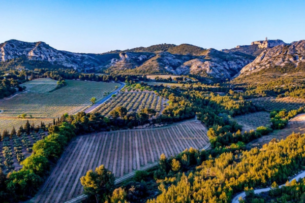Entre oliviers centenaires et vignes ensoleillées, notre partenaire Le Mas de la Dame incarne le meilleur du terroir des Alpilles.