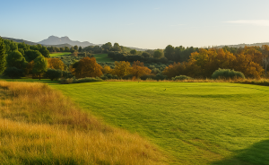 La fauche tardive : quand l’entretien rime avec biodiversité - Open Golf Club