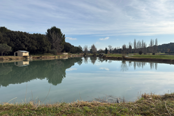 Entretien raisonné des abords de lac au Golf de Servanes pour préserver la biodiversité et la qualité des eaux