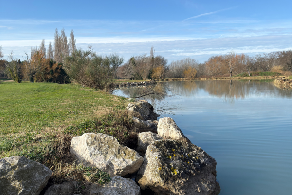 Entretien raisonné des abords de lac au Golf de Servanes pour préserver la biodiversité et la qualité des eaux