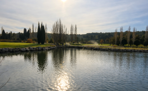 Minute Écologie – Golf de Servanes : l’entretien raisonné au service de la nature - Open Golf Club