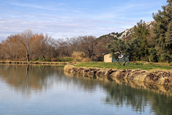 Entretien raisonné des abords de lac au Golf de Servanes pour préserver la biodiversité et la qualité des eaux