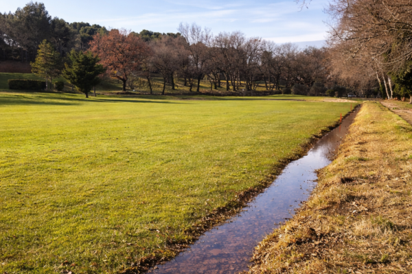 Entretien raisonné des abords de lac au Golf de Servanes pour préserver la biodiversité et la qualité des eaux
