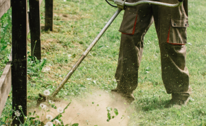 Minute Écologie – Golf de Servanes : un débroussaillage raisonné au service de la biodiversité - Open Golf Club