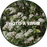 Photo équipe du Golf de Servanes