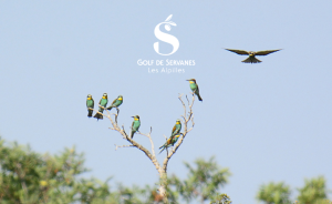 Le grand voyage des oiseaux dans les Alpilles - Open Golf Club